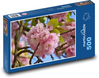 Třešňový květ - jaro, park - Puzzle 500 dílků, rozměr 46x30 cm