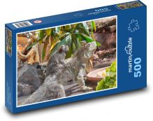 Małpa - iguana, gad Puzzle 500 elementów - 46x30 cm