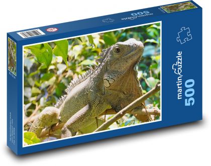 Leguán - terárium, plaz - puzzle 500 dílků