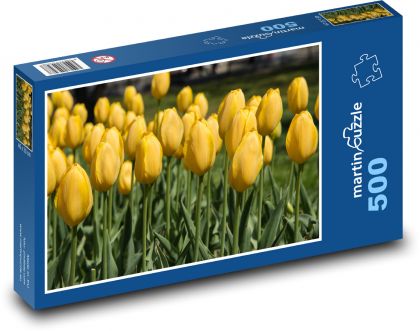 Žluté tulipány - jarní květiny, zahrada - puzzle 500 dílků