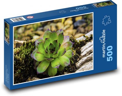 Sukulent - netrask, kvetina - Puzzle 500 dielikov, rozmer 46x30 cm 