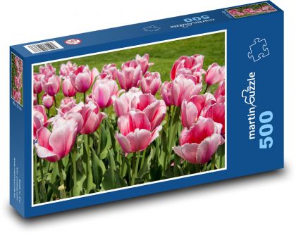 Růžové květy - tulipány, zahrada - Puzzle 500 dílků, rozměr 46x30 cm