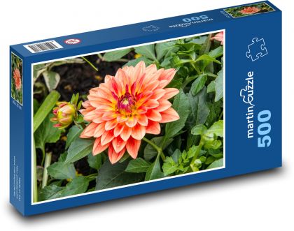 Jiřina - oranžový květ, zahrada - Puzzle 500 dílků, rozměr 46x30 cm