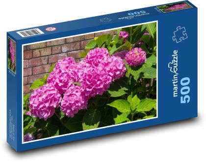 Ružové hortenzie - kvet, záhrada - Puzzle 500 dielikov, rozmer 46x30 cm 