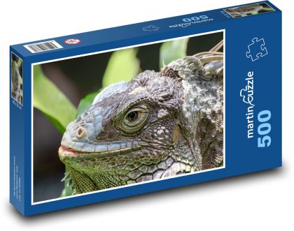 Iguana - jašterica, plaz - Puzzle 500 dielikov, rozmer 46x30 cm 