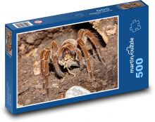 Tarantule - pavouk, zvíře Puzzle 500 dílků - 46 x 30 cm