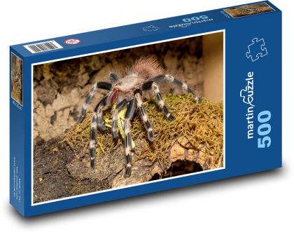 Tarantula - tarantula, spider - Puzzle of 500 pieces, size 46x30 cm 
