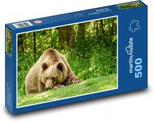 Niedźwiedź - las. zwierzę Puzzle 500 elementów - 46x30 cm