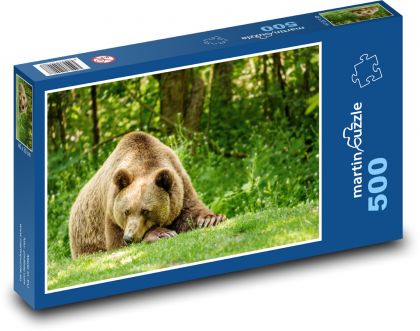 Niedźwiedź - las. zwierzę - Puzzle 500 elementów, rozmiar 46x30 cm