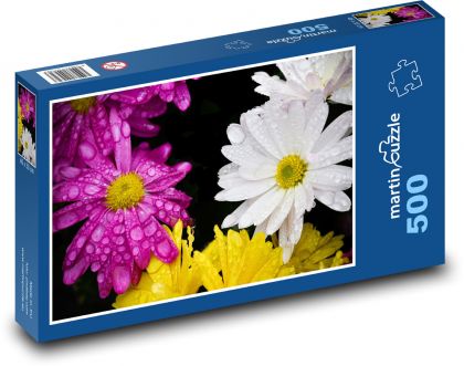Stokrotki - kwiat leszczyny, ogród - Puzzle 500 elementów, rozmiar 46x30 cm