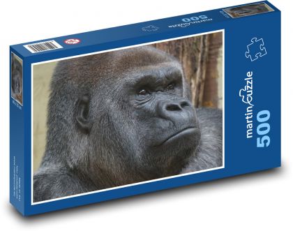 Gorilla - monkey, animal - Puzzle of 500 pieces, size 46x30 cm 