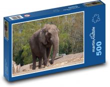 Elephant - Africa, mammal Puzzle of 500 pieces - 46 x 30 cm 
