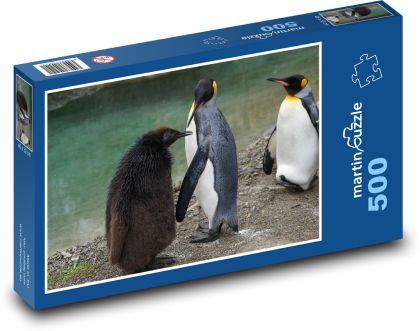 Penguin - bird, animal - Puzzle of 500 pieces, size 46x30 cm 