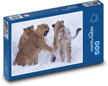 Lwica - śnieg, zoo Puzzle 500 elementów - 46x30 cm