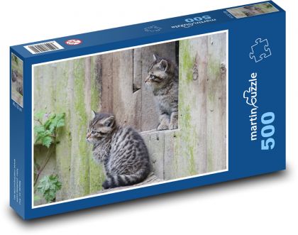 Divoké kočky - mláďata, zoo - Puzzle 500 dílků, rozměr 46x30 cm