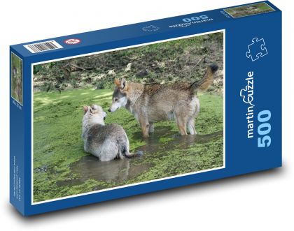 Vlk - dravec, zvíře - puzzle 500 dílků