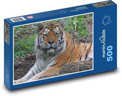 Tiger - big cat, predator - Puzzle of 500 pieces, size 46x30 cm 