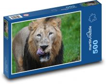 Lion - predator, big cat Puzzle of 500 pieces - 46 x 30 cm