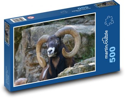 Muflon - owca, zwierzę - Puzzle 500 elementów, rozmiar 46x30 cm