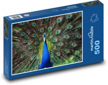Páv - pták, zvíře Puzzle 500 - 46x30 cm
