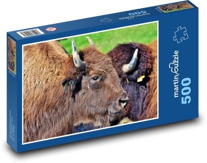 Bison - Bison, Tier - Puzzle - 500 Teile