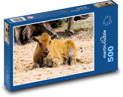 Buvol - divoké zvíře, tele - Puzzle 500 dílků, rozměr 46x30 cm