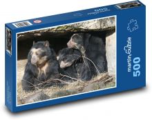 Medvěd brýlatý - rodina, zoo Puzzle 500 - 46x30 cm