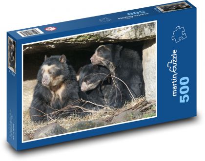 Medveď okuliarnatý - rodina, zoo - Puzzle 500 dielikov, rozmer 46x30 cm 
