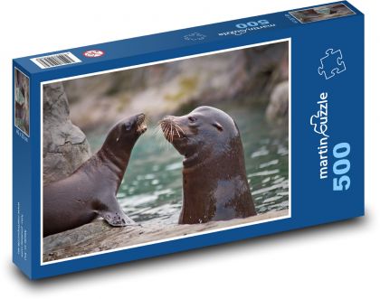 Lew morski - zwierzę wodne, młode - Puzzle 500 elementów, rozmiar 46x30 cm