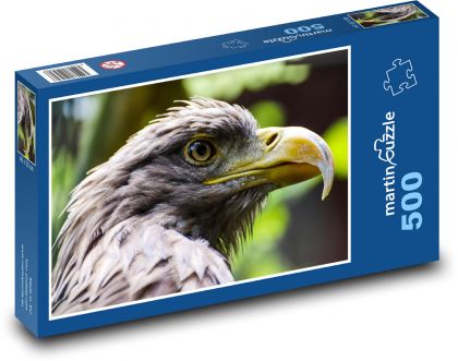 Adler - Raubtier, Vogel - Puzzle - 500 Teile