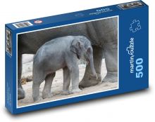 Ázijský slon - mláďa, cicavec Puzzle 500 dielikov - 46 x 30 cm 
