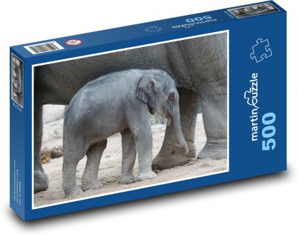 Asijský slon - mládě, savec - Puzzle 500 dílků, rozměr 46x30 cm