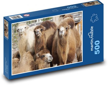 Wielbłąd - zwierzę, zoo - Puzzle 500 elementów, rozmiar 46x30 cm