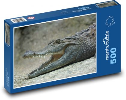 Crocodile - lizard, teeth - Puzzle of 500 pieces, size 46x30 cm 