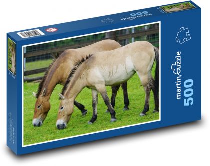 Kůň převalský - divoký, zvíře - Puzzle 500 dílků, rozměr 46x30 cm