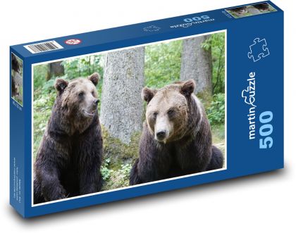 Medvěd - zoo, šelma - Puzzle 500 dílků, rozměr 46x30 cm