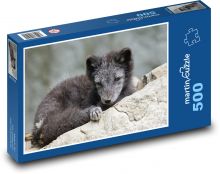Polární liška - dravec, zvíře Puzzle 500 - 46x30 cm