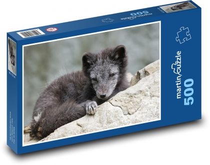 Lis polarny - drapieżnik, zwierzę - Puzzle 500 elementów, rozmiar 46x30 cm