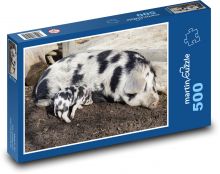 Prase - sele, domácí zvíře Puzzle 500 dílků - 46 x 30 cm