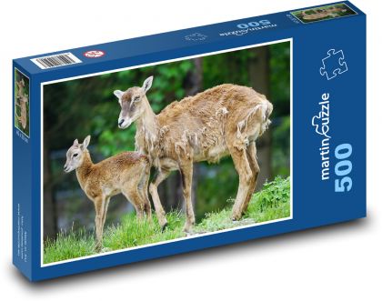 Muflon - calf, cub - Puzzle of 500 pieces, size 46x30 cm 