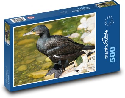 Kormorán - vodní pták, zoo - Puzzle 500 dílků, rozměr 46x30 cm