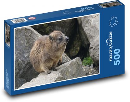 Daman - animal, Africa - Puzzle of 500 pieces, size 46x30 cm 