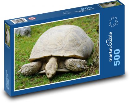 Schildkröte - Reptil, Tier - Puzzle - 500 Teile