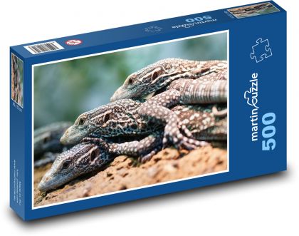 Varan - lizard, reptile - Puzzle of 500 pieces, size 46x30 cm 