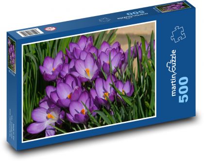 Krokus - květina, jaro - Puzzle 500 dílků, rozměr 46x30 cm