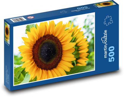 Sunflower - flower, summer - Puzzle of 500 pieces, size 46x30 cm 