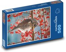 Drozd - pták, bobule Puzzle 500 - 46x30 cm