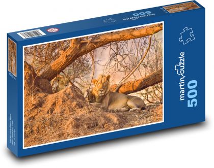 Lev - Africa, Safari - Puzzle of 500 pieces, size 46x30 cm 
