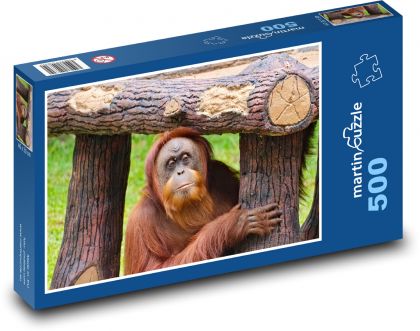 Orangurtan - opice, zvíře - Puzzle 500 dílků, rozměr 46x30 cm