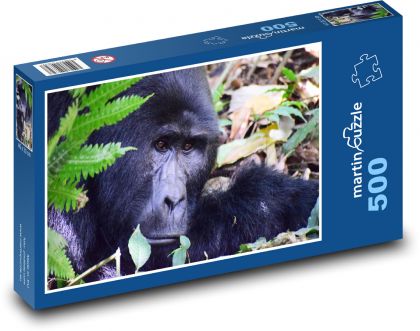 Gorila - cicavec, príroda - Puzzle 500 dielikov, rozmer 46x30 cm 